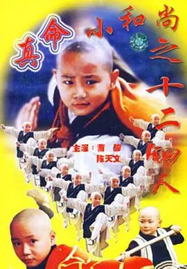 《真命小和尚之十二铜人》：经典武侠儿童片，满满童年回忆！释小龙萌翻全场！