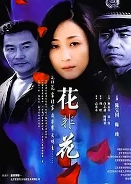 《花非花》：梦幻爱情与现实纠葛，一曲唯美动人的青春恋歌！