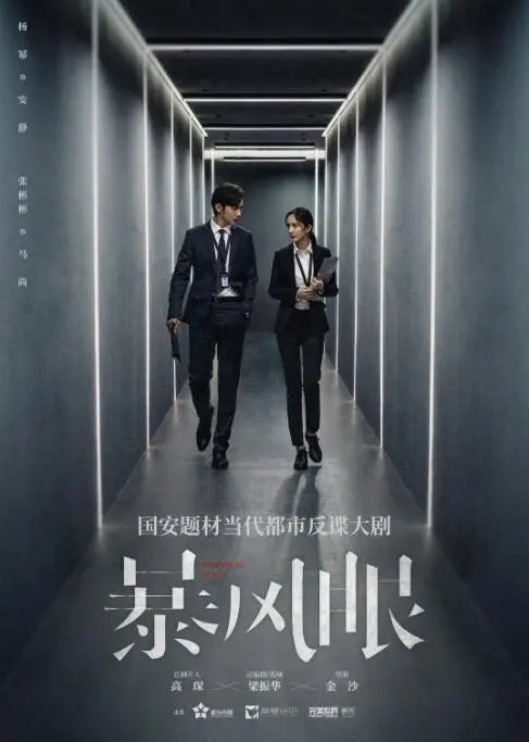 《暴风眼》：国家安全谍战风暴，潜伏的危机与人性的抉择，致敬无名英雄！