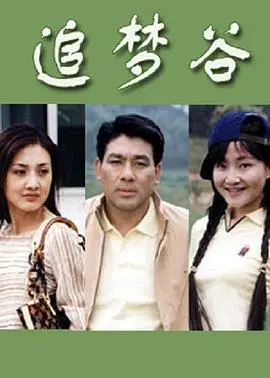 《追梦谷》：迷失于暗夜的灵魂追寻，一场关于梦想与现实的残酷博弈，谁能拨开迷雾重拾勇气？